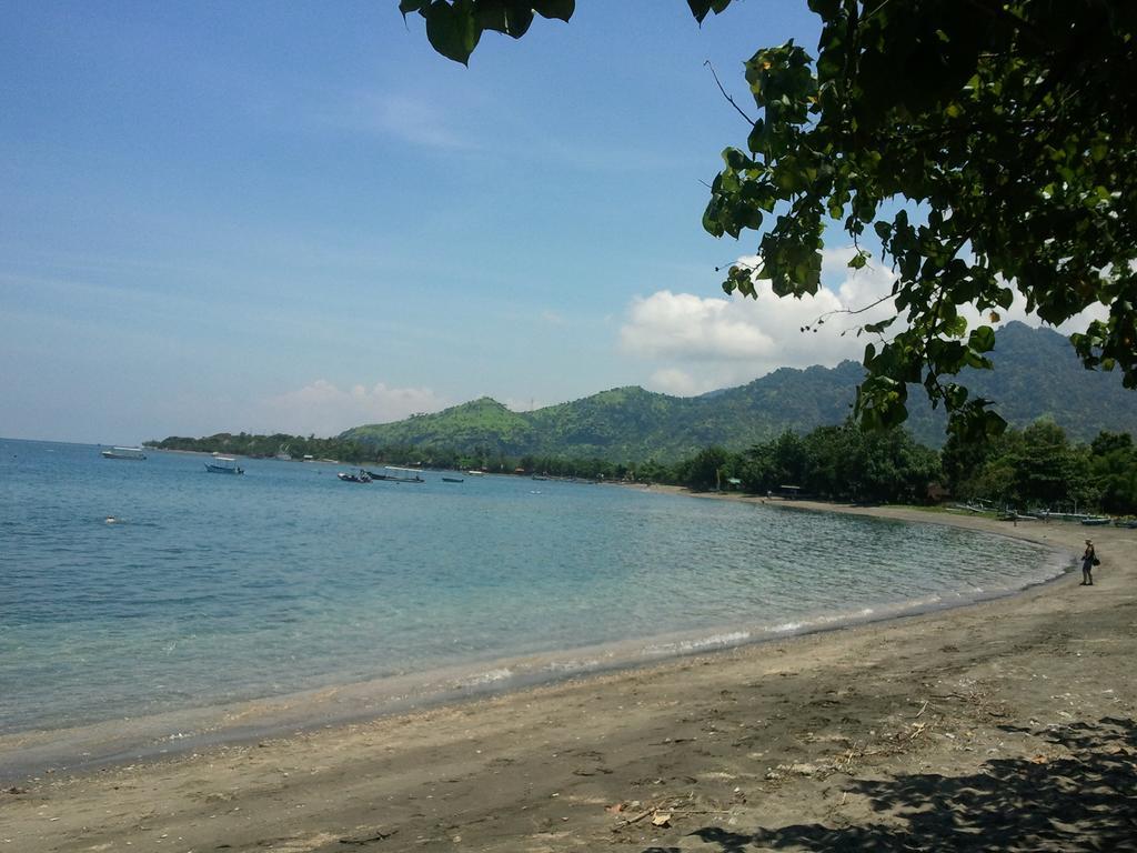 Biorock Homestay & Dive Center Pemuteran Exterior photo